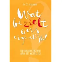Blokker Wat bezielt ons eigenlijk?