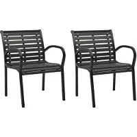vidaXL Tuinstoelen 2 st staal en HKC zwart