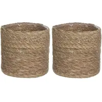 Mica Decorations 2x stuks naturel bruin rotan planten pot mand van gedraaid jute/riet H20 en D20 cm - Plantenpotten