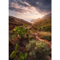 Overig Fotobehang Warm Licht - Meerkleurig - 2,80m X 200cm