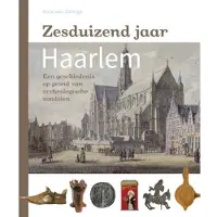 Blokker Zesduizend jaar Haarlem