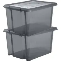 Eda 2x stuks kunststof opbergboxen/opbergdozen grijs transparant L65 x B50 x H36 cm stapelbaar - Opbergbox