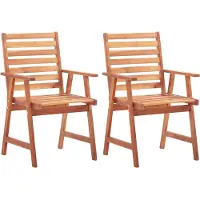vidaXL Tuinstoelen 2 st massief acaciahout