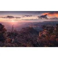 Overig Grand View Fotobehang - Meerkleurig - 2,80m X 450cm