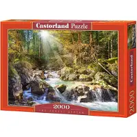 Castorland The Forest Stream Puzzel (2000 stukjes)