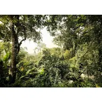 Komar Fotobehang vlies Jungle 350x250 cm