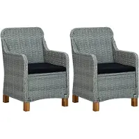 vidaXL Tuinstoelen 2 st met kussens poly rattan lichtgrijs