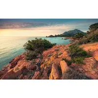 Overig Fotobehang Paradiso Ii - Meerkleurig - 2,80m X 450cm