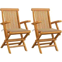 vidaXL Tuinstoelen 2 st met beige kussens massief teakhout