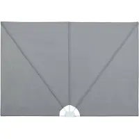 vidaXL Auvent latéral pliable de terrasse Gris 300 x 200 cm