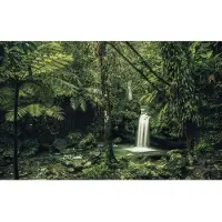 Komar Vliesbehang Digitale print vlies - My Hidden Treasure - Afmeting 400 x 250 cm (1 stuk)