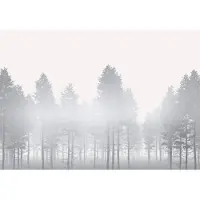 Komar Fotobehang Silver Haze - Grijs - 2,80m X 400cm
