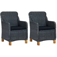 vidaXL Tuinstoelen 2 st met kussens poly rattan donkergrijs