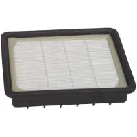 Hoover Hepa Premotor Filter Te