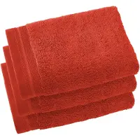 De Witte Lietaer Gastendoek Contessa Burnt Orange (40 x 60 cm) (set van 3)