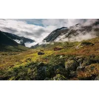 Overig Pure Fotobehang Norway - Meerkleurig - 2,80m X 450cm