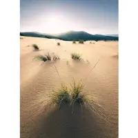 Overig Vivid Fotobehang Dunes - Bruin - 2,80m X 200cm