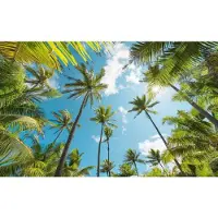 Komar Fotobehang Coconut Heaven Ii
