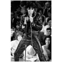 Pyramid Elvis Presley 68 Comeback Special Kunstdruk 40x50cm