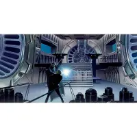 Komar Vliesbehang Star Wars Classic RMQ duel Throneroom (set)