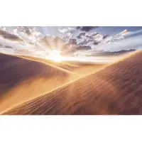 Komar Vliesbehang Digitale print vlies - Gently Touched - Afmeting 400 x 250 cm (1 stuk)