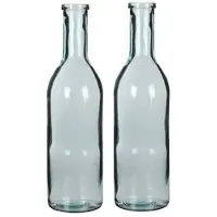 Blokker 2x Decoratiefles / Glazen Fles Transparant 50 X 15 Cm - Vazen