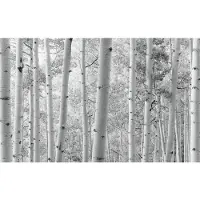 Overig Espenwald Fotobehang - Zwart - 2,80m X 450cm