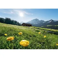Komar Fotobehang Alpenglück - Meerkleurig - 2,80m X 400cm