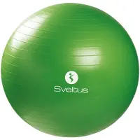 SVELTUS Fitnessbal 65 Cm Groen In Doosje