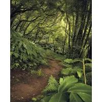 Komar Vliesbehang Digitale print vlies - The Path - Afmeting 200 x 250 cm (1 stuk)