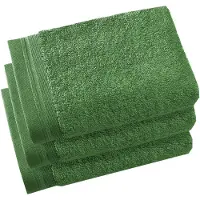 De Witte Lietaer Gastendoek Contessa Cactus (40 x 60 cm)(set van 3)