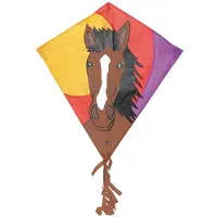 Invento Eenlijnsvlieger Eddy Bronco 68 Cm