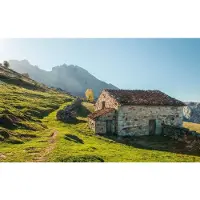 Overig Fotobehang Pastell - Meerkleurig - 2,80m X 450cm