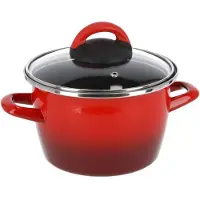 Blokker Rvs Rode Kookpan/pan Met Glazen Deksel 16 Cm 3 Liter - Kookpannen
