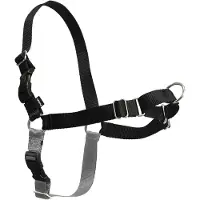Petsafe Altranet Hondentuigje Easy Walk 62-86 Cm Nylon Zwart