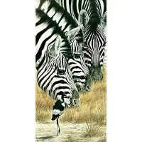 Blokker Renato Casaro - Black And White Kunstdruk 50x100cm