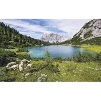 Komar Vliesbehang Digitale print vlies - Paradise Lake - Afmeting 400 x 250 cm (1 stuk)