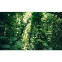 Overig Fotobehang Green Leaves - Groen - 2,80m X 450cm