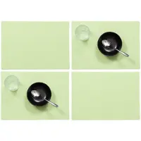 Wicotex Set van 4x stuks stevige luxe Tafel placemats Plain mintgroen 30 x 43 cm - Placemats
