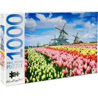 Mindbogglers Puzzel Molens En Tulpen