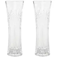 Blokker Set Van 2x Stuks Bloemenvazen Van Ornament Glas 29 X 11 Cm - Vazen