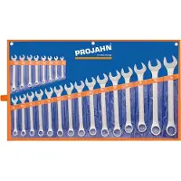 Projahn Ringsteeksleutel set , met foedraal, metrisch conform DIN 3113 Form A