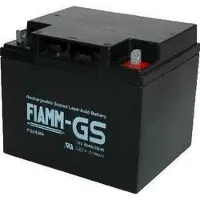 FIAMM FG24204 FG 12V 42Ah AGM
