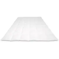 Cassenz REMBRANDT | donzen dekbed | 100% ganzendons | Zomer | warmteklasse 4 - 260/220cm - 390gr.