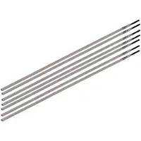 Ferm WEA1016 Elektroden 2 mm 45-75A 12 stuks