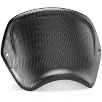 Puig 9663 Honda Cb125r Neo Sports Café 18 Voorplaat