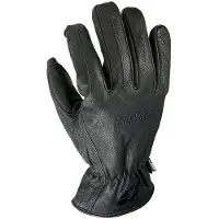 Garibaldi Campus Handschoenen