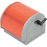 Hiflofiltro Honda Hfa1212 Luchtfilter