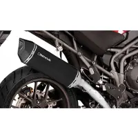 Remus Tiger Explorer 1200 Xca 16-17 4682 100754 Linkpijp