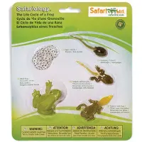 Safari Ltd. Levenscyclus van een kikkerbeeldjesset - Miniatuur educatief